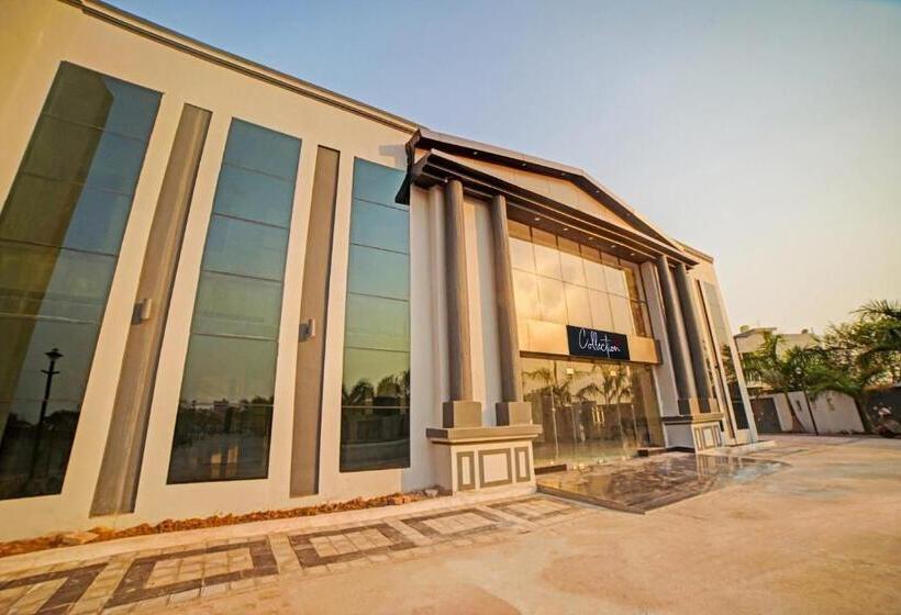 Palette   The Mark Club & Resorts