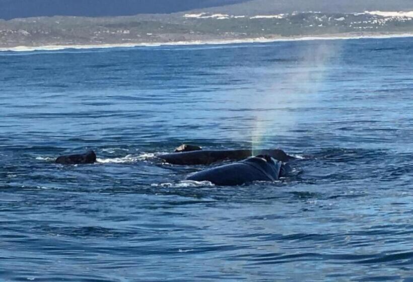 민박 Marine 5 Boutique