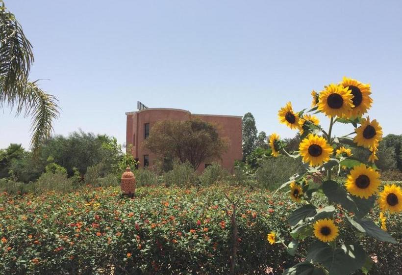 住宿加早餐  Riad Hamdani