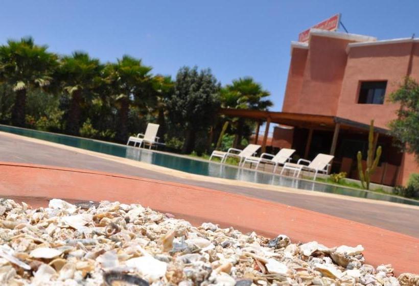 住宿加早餐  Riad Hamdani