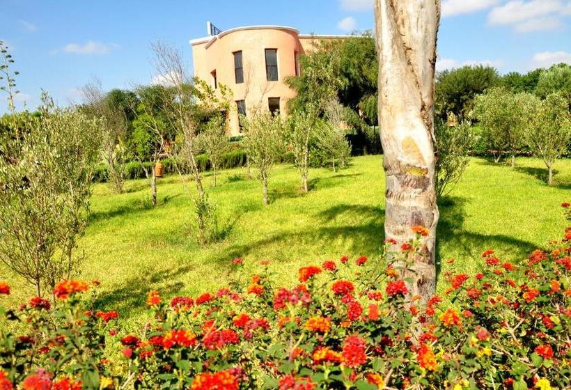 住宿加早餐  Riad Hamdani