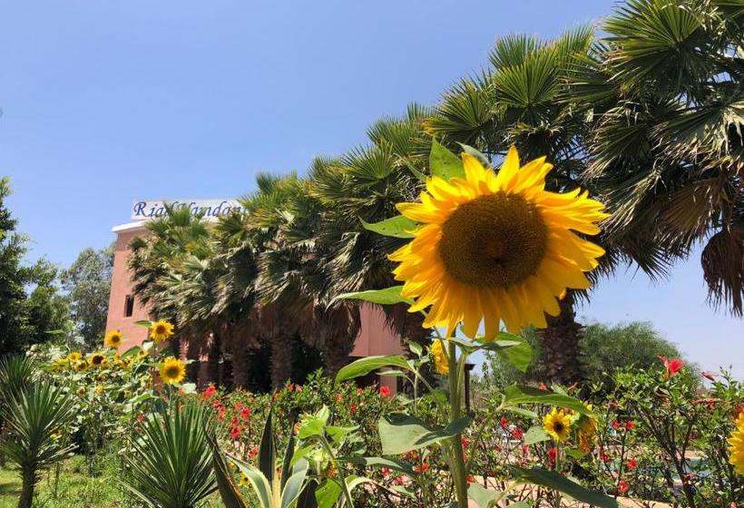 住宿加早餐  Riad Hamdani