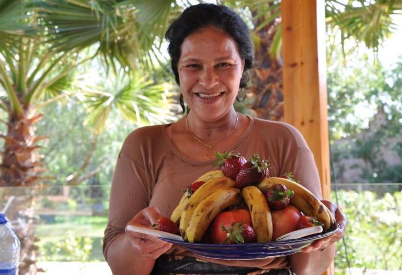 住宿加早餐  Riad Hamdani