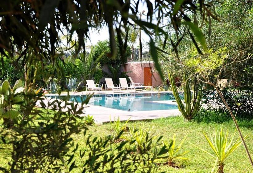 住宿加早餐  Riad Hamdani