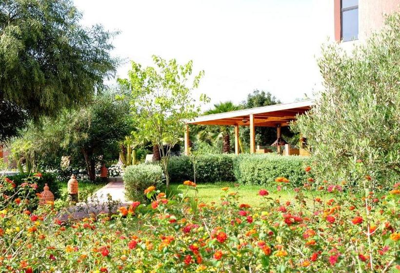 住宿加早餐  Riad Hamdani