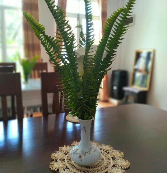 Bed and Breakfast Zion