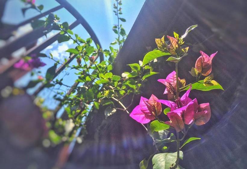 فندق Heshun Xinyue Boutique Inn