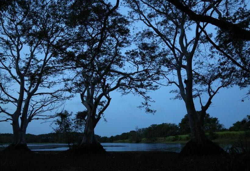 リゾートホテル Athreya Ayurveda Ashram