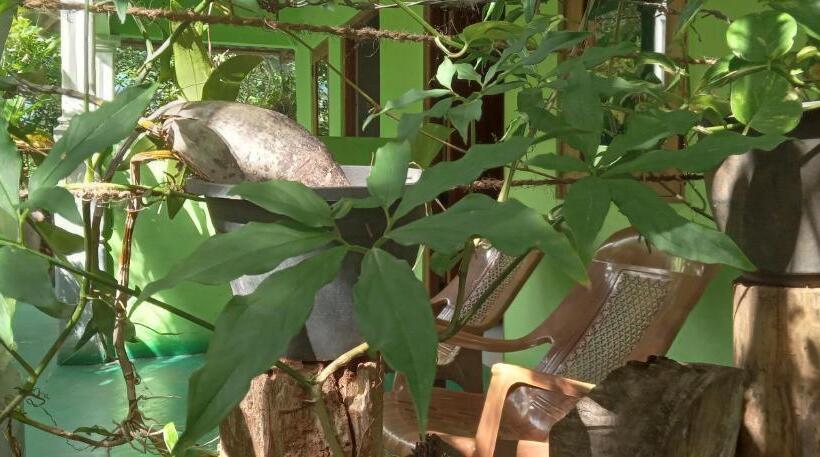 ユースホステル Forest Villa Nature Resort