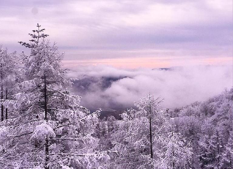 호스텔 Hakuba Cortina Backpackers