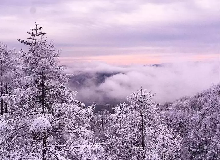 Retkeilymaja Hakuba Cortina Backpackers