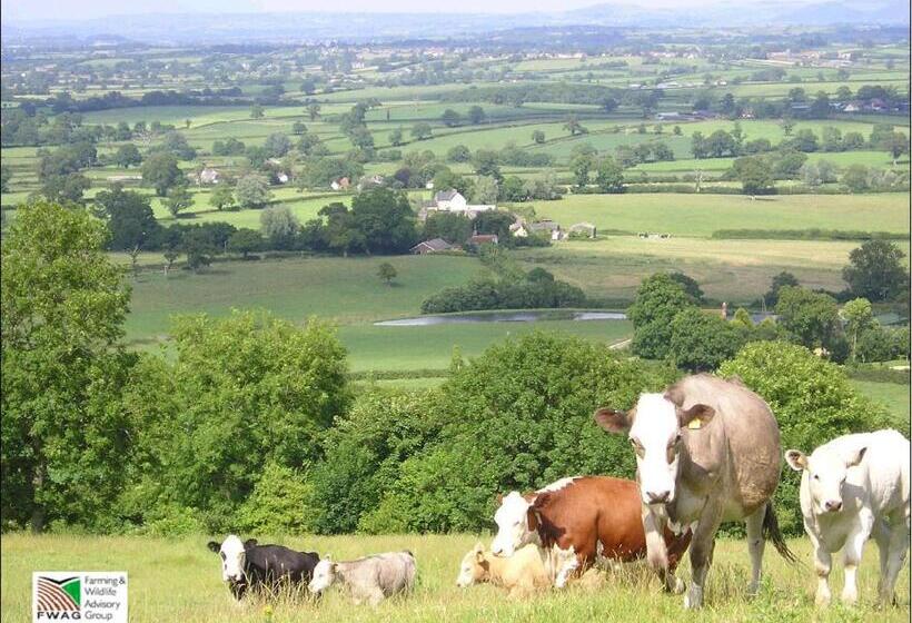 Bed and Breakfast Whiteways Farmhouse