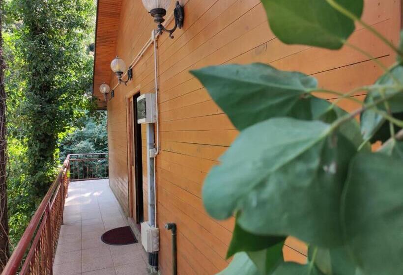 ホテル Toni Llogora