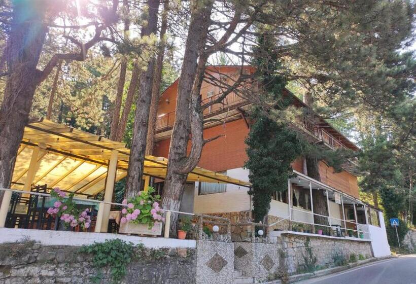 ホテル Toni Llogora