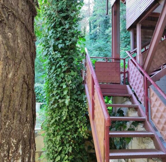 ホテル Toni Llogora