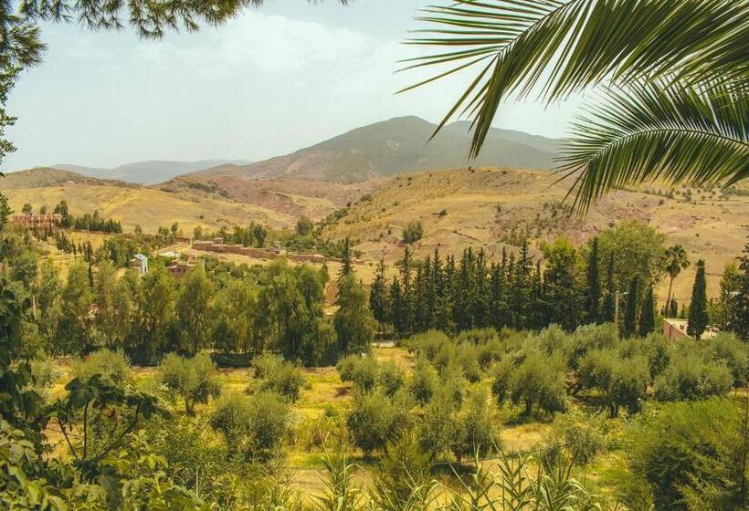 پانسیون Diar Illi