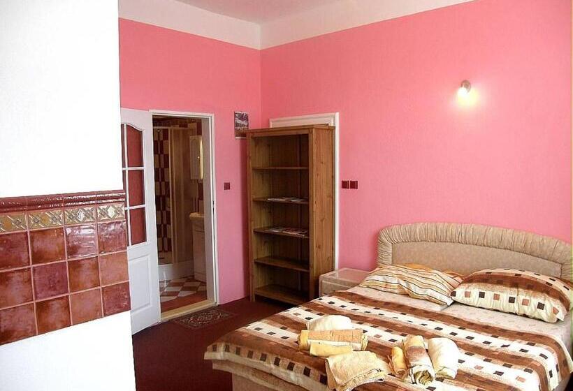 ペンション Muzeum Lesná:penzion A Camping