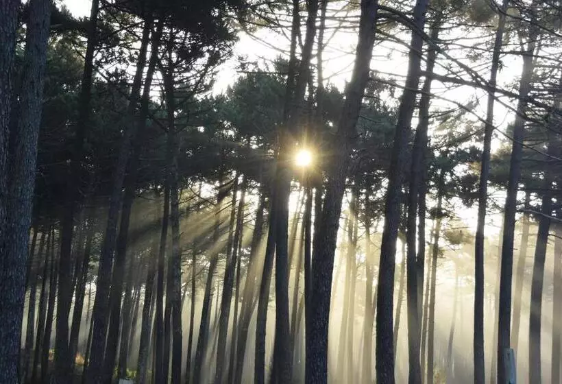 پانسیون Ola Guesthouse