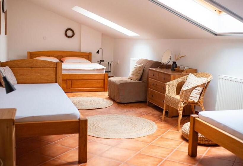 膳宿费 Penzion Vinařství Tomanovi