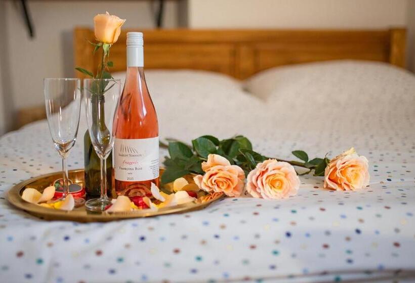 膳宿费 Penzion Vinařství Tomanovi