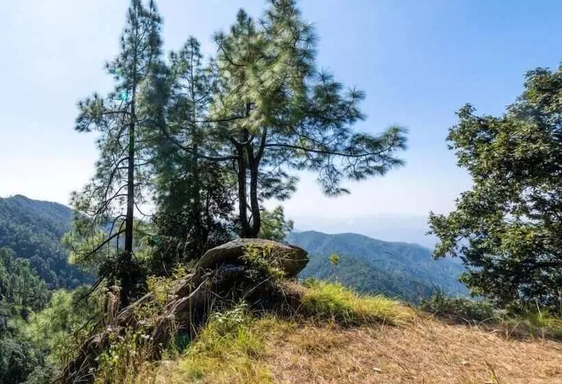 Lomakeskus Mary Budden Estate