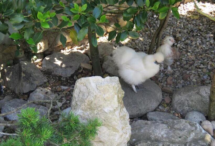 住宿加早餐  Les Buis De Lussan