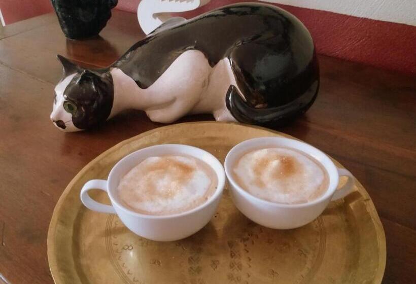 住宿加早餐  Les Buis De Lussan