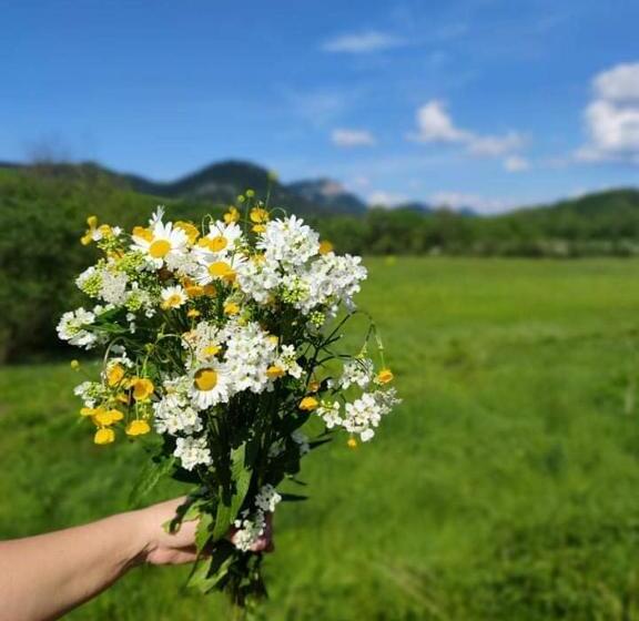 膳宿费 Penzión Roal Pieniny
