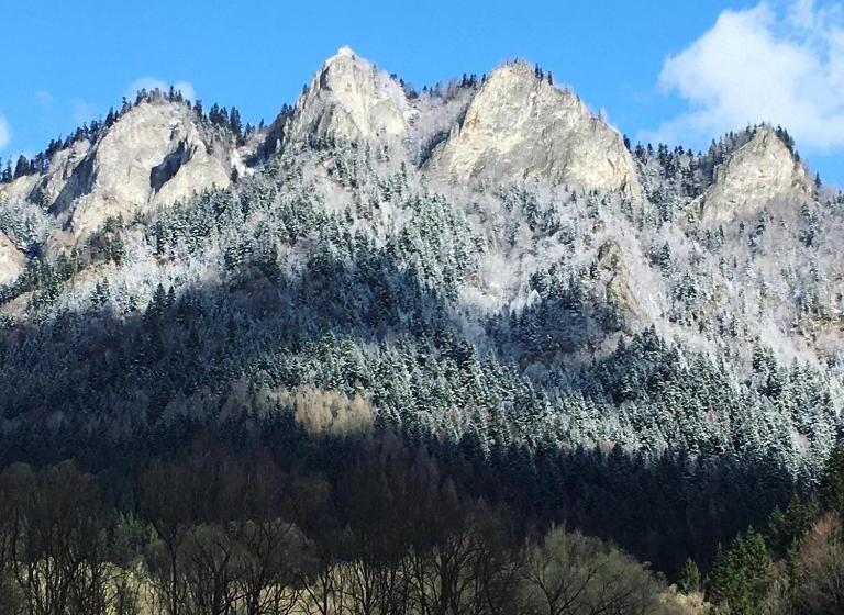 膳宿费 Penzión Roal Pieniny