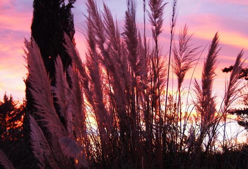 تختخواب و صبحانه Les Agaves