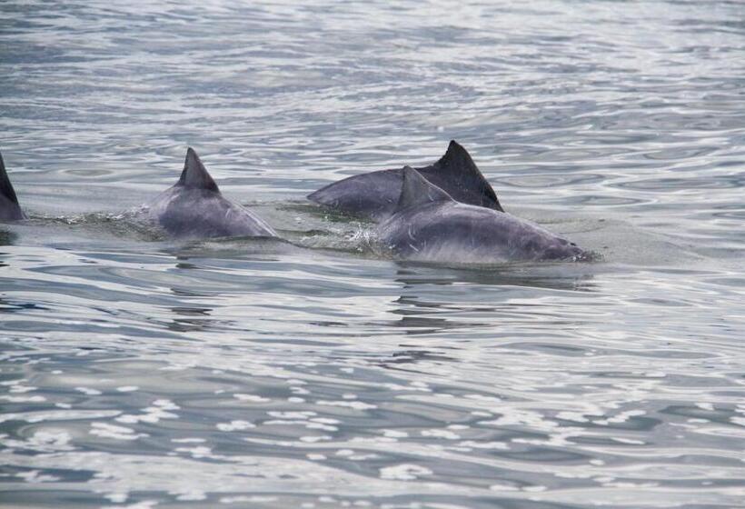 Otel Nossa Senhora Do Carmo