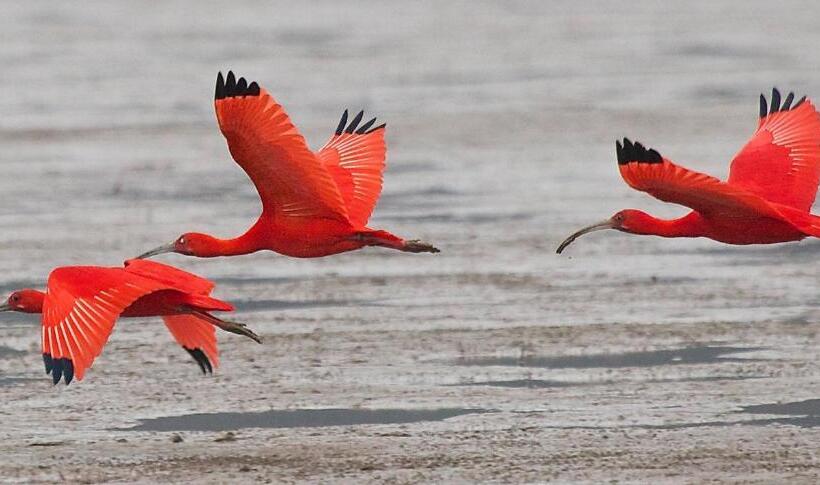 Otel Nossa Senhora Do Carmo