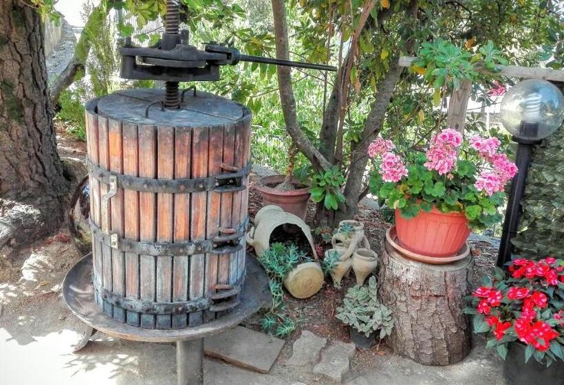 膳宿费 Affittacamere La Vigna