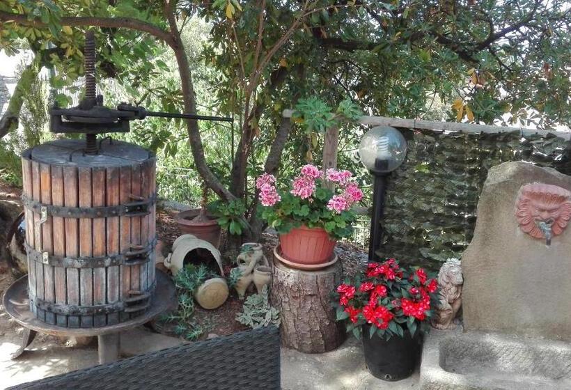 膳宿费 Affittacamere La Vigna