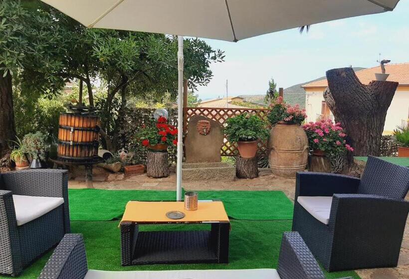 膳宿费 Affittacamere La Vigna