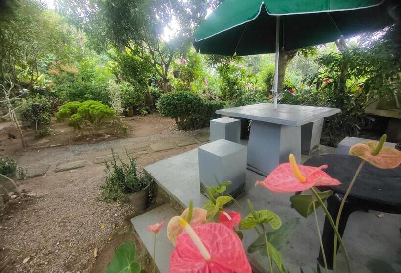 膳宿费 Moon Light Rest