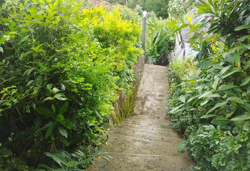 膳宿费 Moon Light Rest