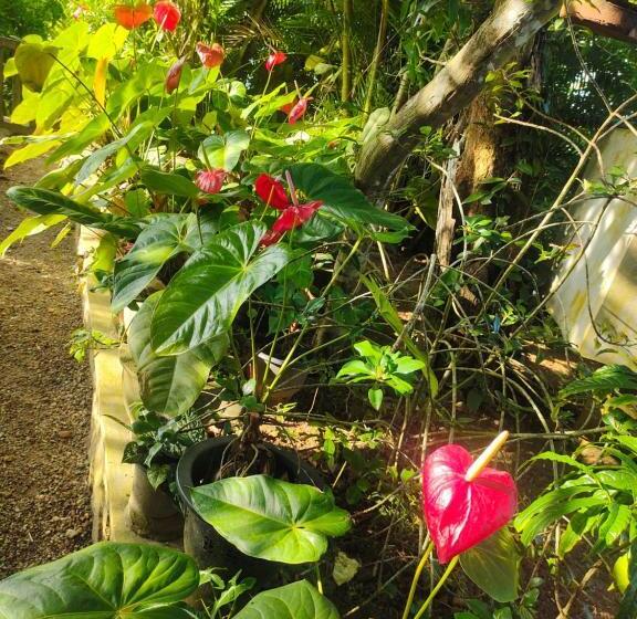 膳宿费 Moon Light Rest