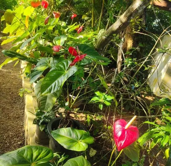 Majatalo Moon Light Rest