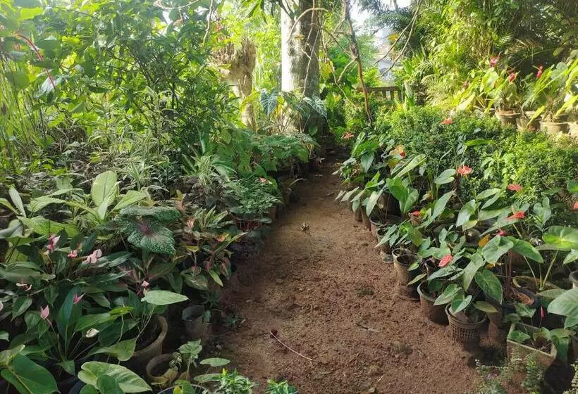 Majatalo Moon Light Rest