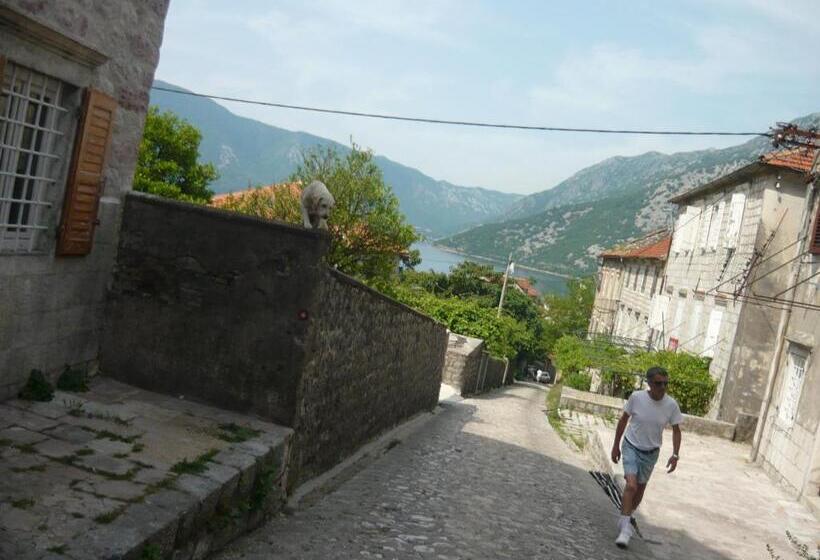 پانسیون Rooms Banićević