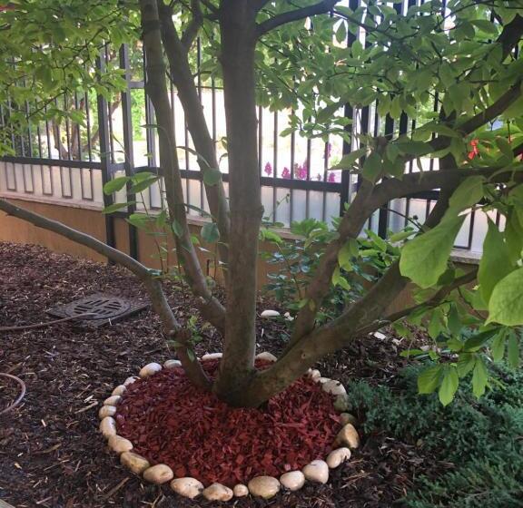 ペンション Vila Doda