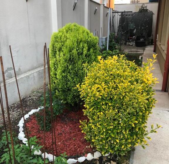 ペンション Vila Doda