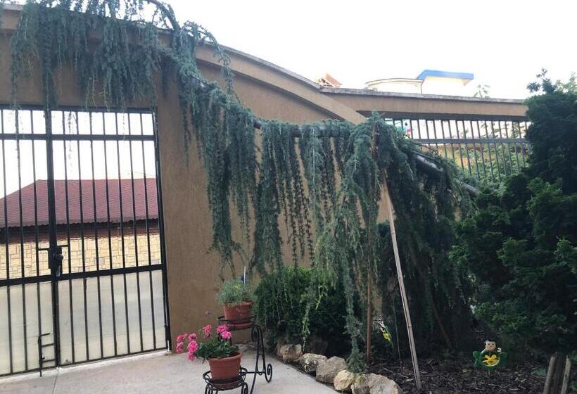 ペンション Vila Doda