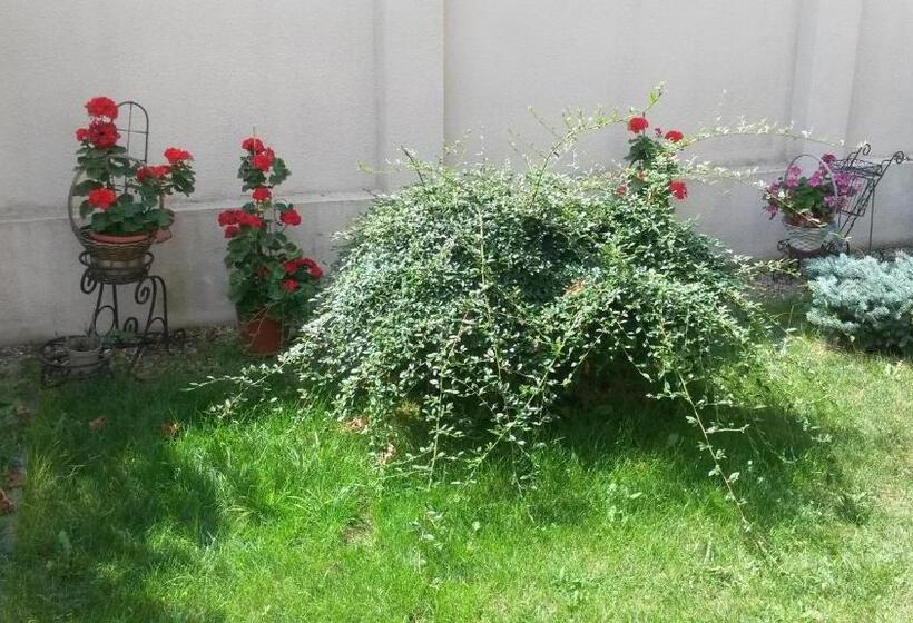 ペンション Vila Doda