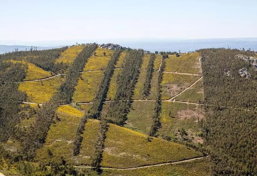 Majatalo Casa Do Ze Sapateiro