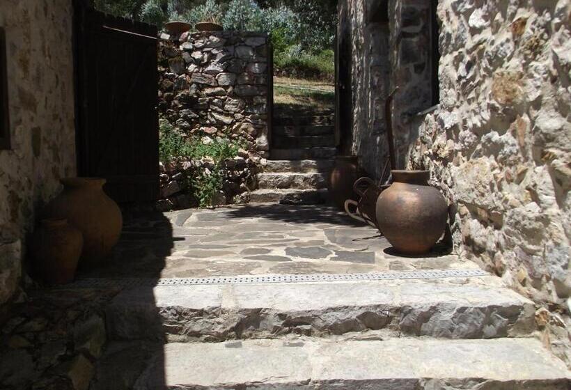 膳宿费 Casa Do Ze Sapateiro