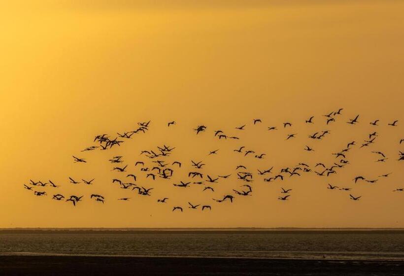 هتل Flamingo Villas Boutique