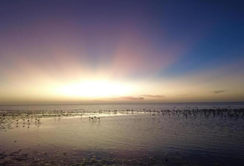 هتل Flamingo Villas Boutique