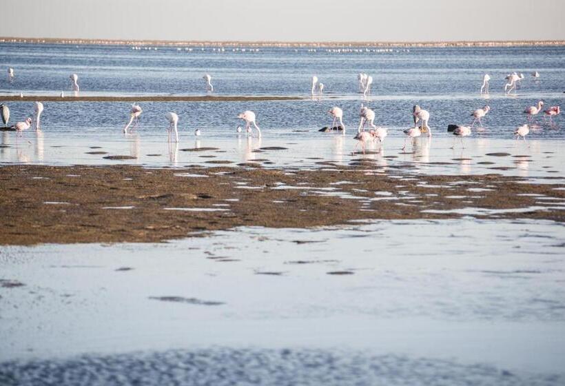 هتل Flamingo Villas Boutique